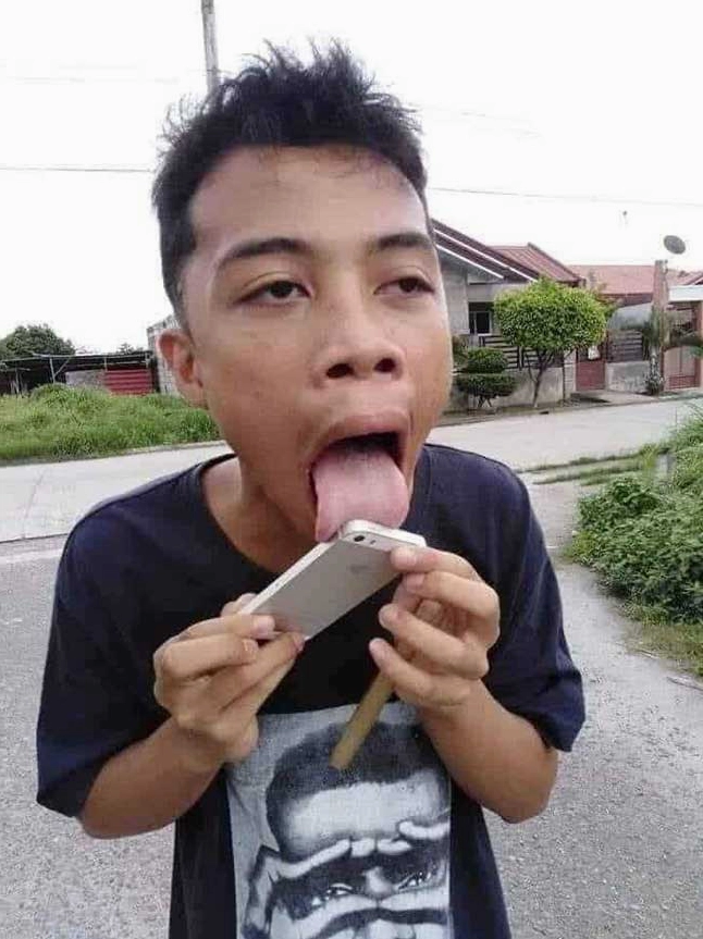Bộ Sưu Tập Meme Chó Lè Lưỡi: Biểu Cảm Hài Hước Đốn Tim?