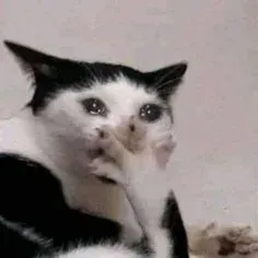 mặt meme 29
