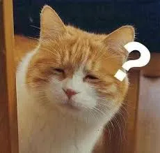 meme hỏi chấm 17