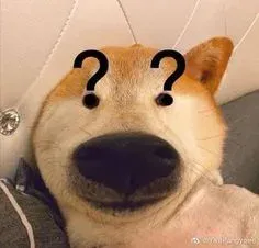 meme hỏi chấm 2