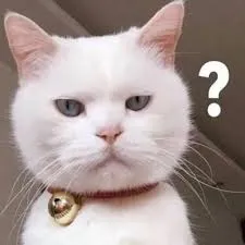 meme hỏi chấm 28