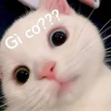 meme hỏi chấm 30
