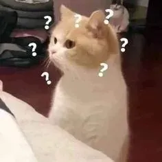 meme hỏi chấm 8