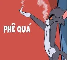 meme tom 18