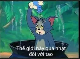 meme tom 2