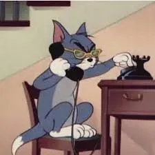 meme tom 22