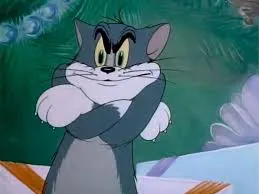 meme tom 29