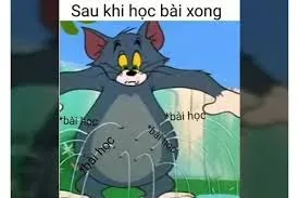 meme tom 4