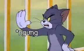 meme tom 6