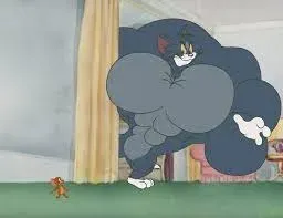 meme tom 9