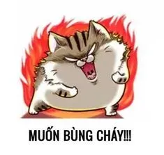 meme tức 2