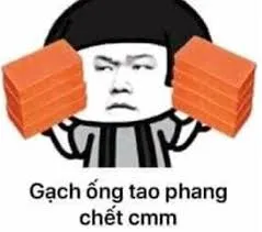 meme tức 28