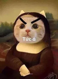 meme tức 7