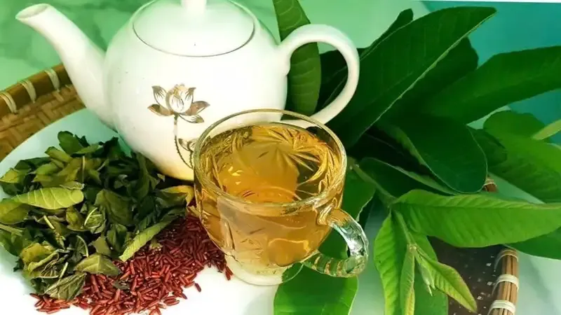 Những tác hại tiềm ẩn của lá ổi đối với sức khỏe cần biết 8