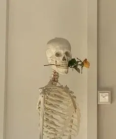 skeleton meme 1