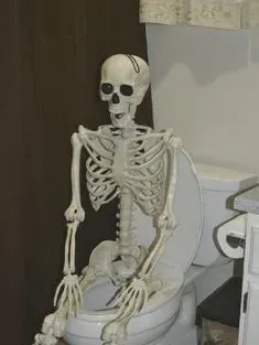 skeleton meme 10
