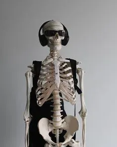 skeleton meme 12