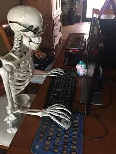 skeleton meme 15