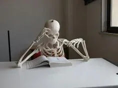 skeleton meme 19