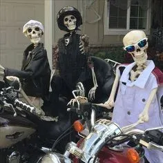 skeleton meme 2