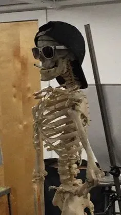 skeleton meme 20