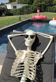 skeleton meme 22