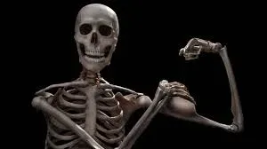 skeleton meme 26