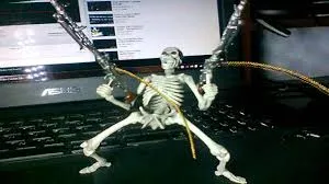 skeleton meme 30