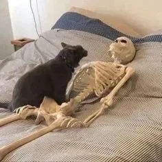 skeleton meme 4