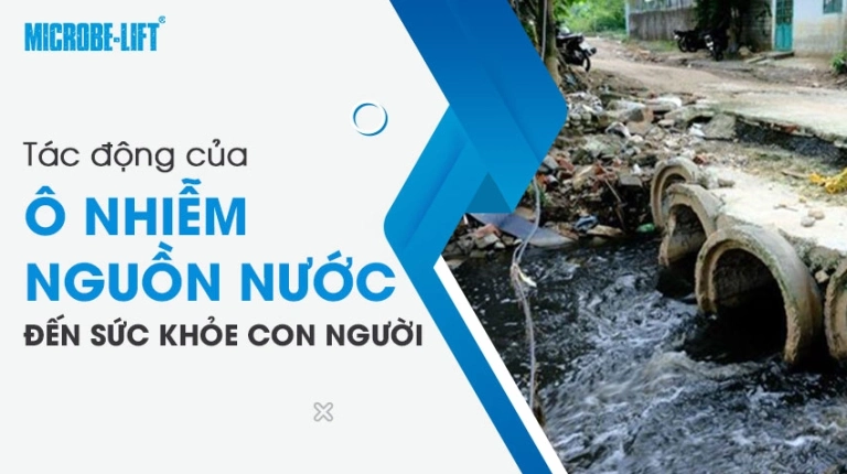 Tác hại khôn lường của ô nhiễm môi trường nước đối với cuộc sống